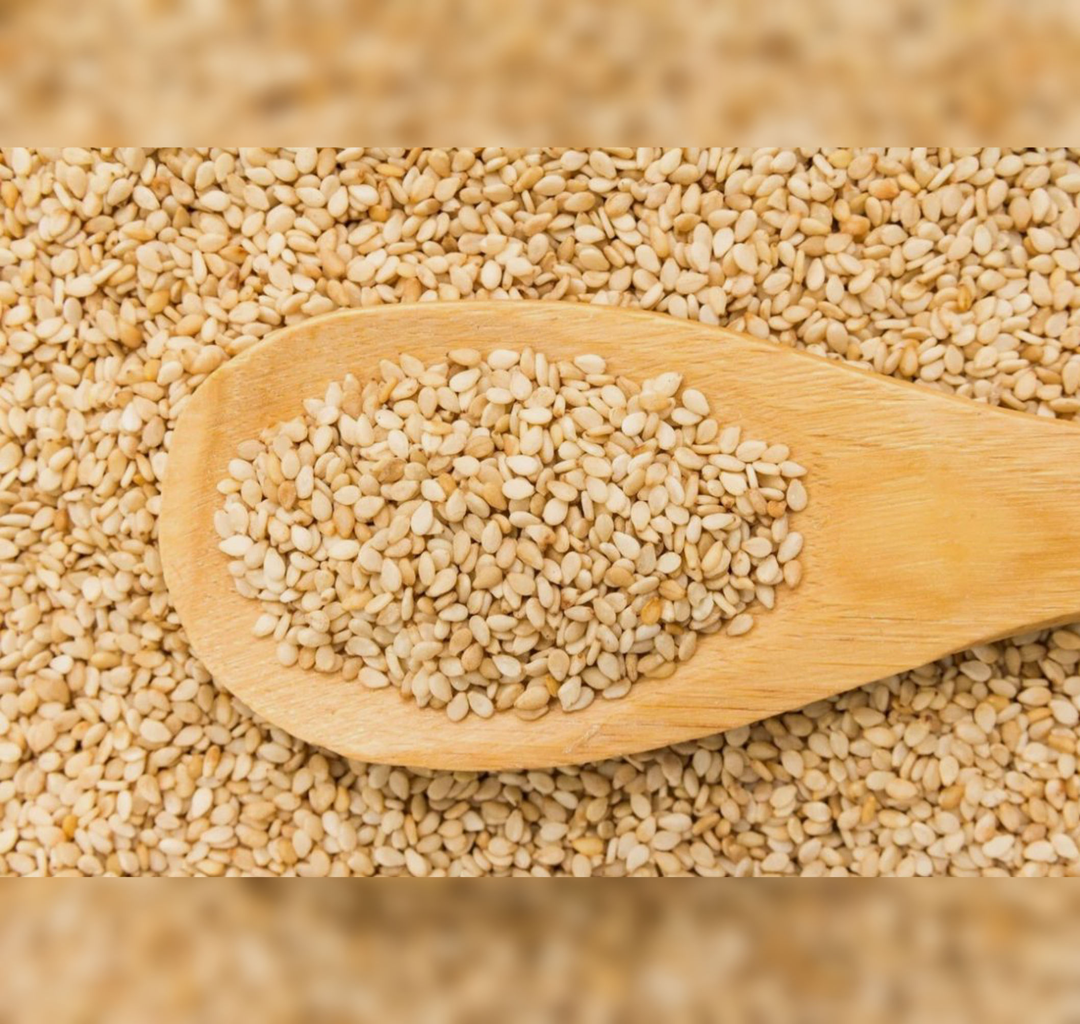 Premium white sesame seeds pack – natural Indian grocery in Ireland